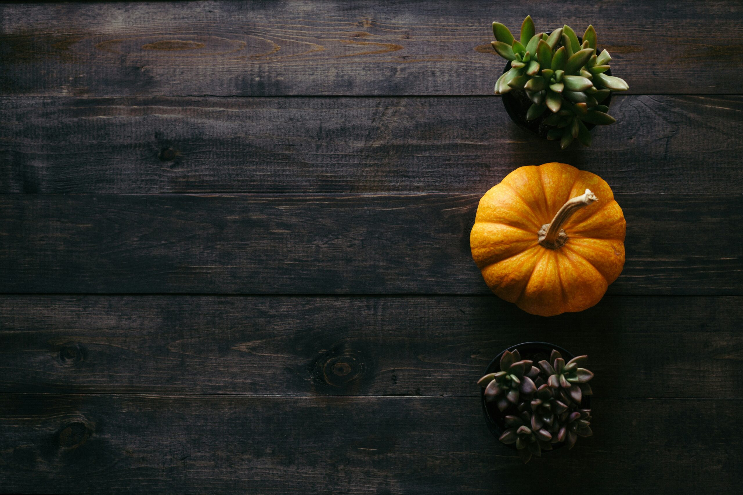 Thanksgiving